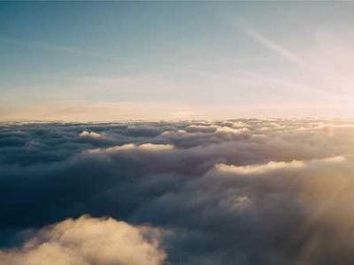 Easily taxed grains were crucial to the birth of the first states