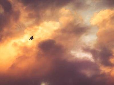 Stagwell Brings in Growth Chief to Step Up Push for Big Clients