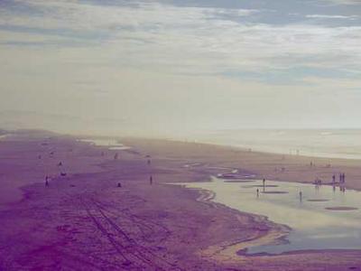 Another Conversation with Martin Heidegger?