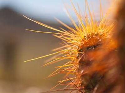 For What It’s Worth