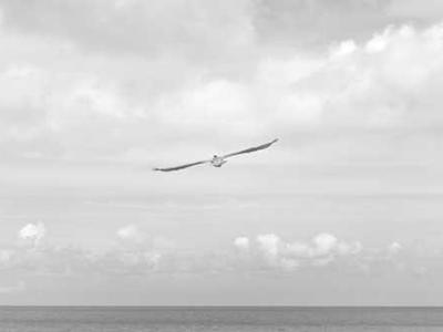 Philosophers on Skiing