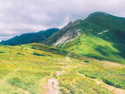 Supermassive dark matter stars may be lurking in the early universe