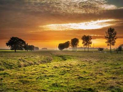 Helping Museums Think About The Ethics of Cultural Restitution: Introducing The Decision Aid for the Restitution of Cultural Artefacts (DARCA)