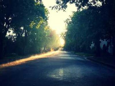 Can Pornography be Feminist in a Mass Market Economy?