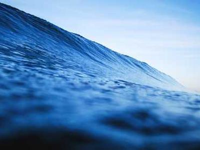 How to tackle environmental issues when the world can't agree