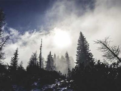 EXCLUSIVE: OpenAI Confirms $200,000 Minimum Commitment for ChatGPT Ads