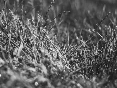 Cars are getting bigger. This is a problem for us and for the planet