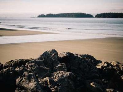 Mental Health Chatbots: on Truth and Bullshit