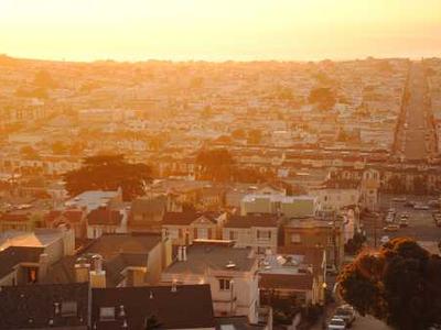 Origin story of domestic cats rewritten by genetic analysis