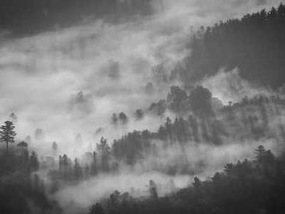 Another Conversation with Martin Heidegger?