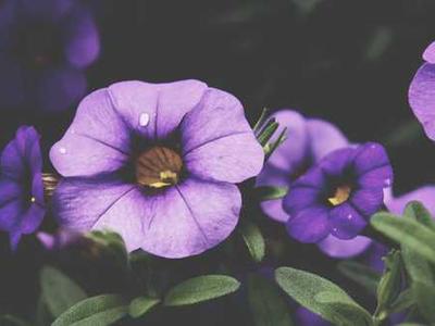 For What It’s Worth