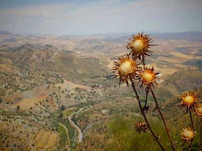 Marketers on the Move: Hires and Exits at Babylist, OpenAI, McDonald’s, and more