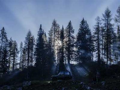 Is Prostitution Just a Job?