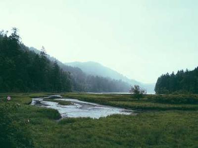 EXCLUSIVE: X’s Memelord Product Chief Has a Plan to Save the Platform—If Grok Doesn’t Destroy It First