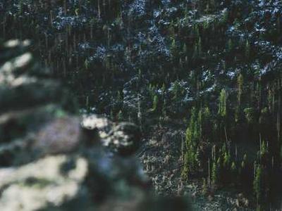 How Joseph Grigely Blazed a Trail for Disability Arts