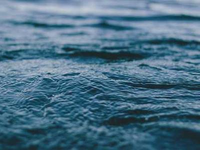 US State Department Report Shows Biden Received $19,000 Painting as Gift During Presidential Term