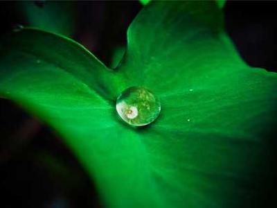 Highlights from the Baltimore Museum of Art’s 2025 Acquisitions, From Henri Matisse to Kiyan Williams to Senegalese Tapestries