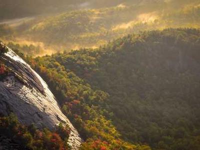 Leaving Nothing to Chance by Carl Knight