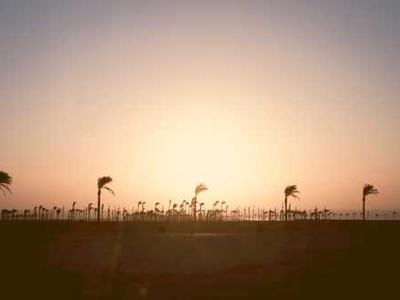 Leon Black’s Extensive Art Collection Seemingly Revealed in Jeffrey Epstein Files