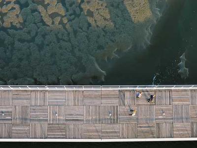 Helping Museums Think About The Ethics of Cultural Restitution: Introducing The Decision Aid for the Restitution of Cultural Artefacts (DARCA)