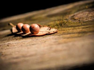 For What It’s Worth