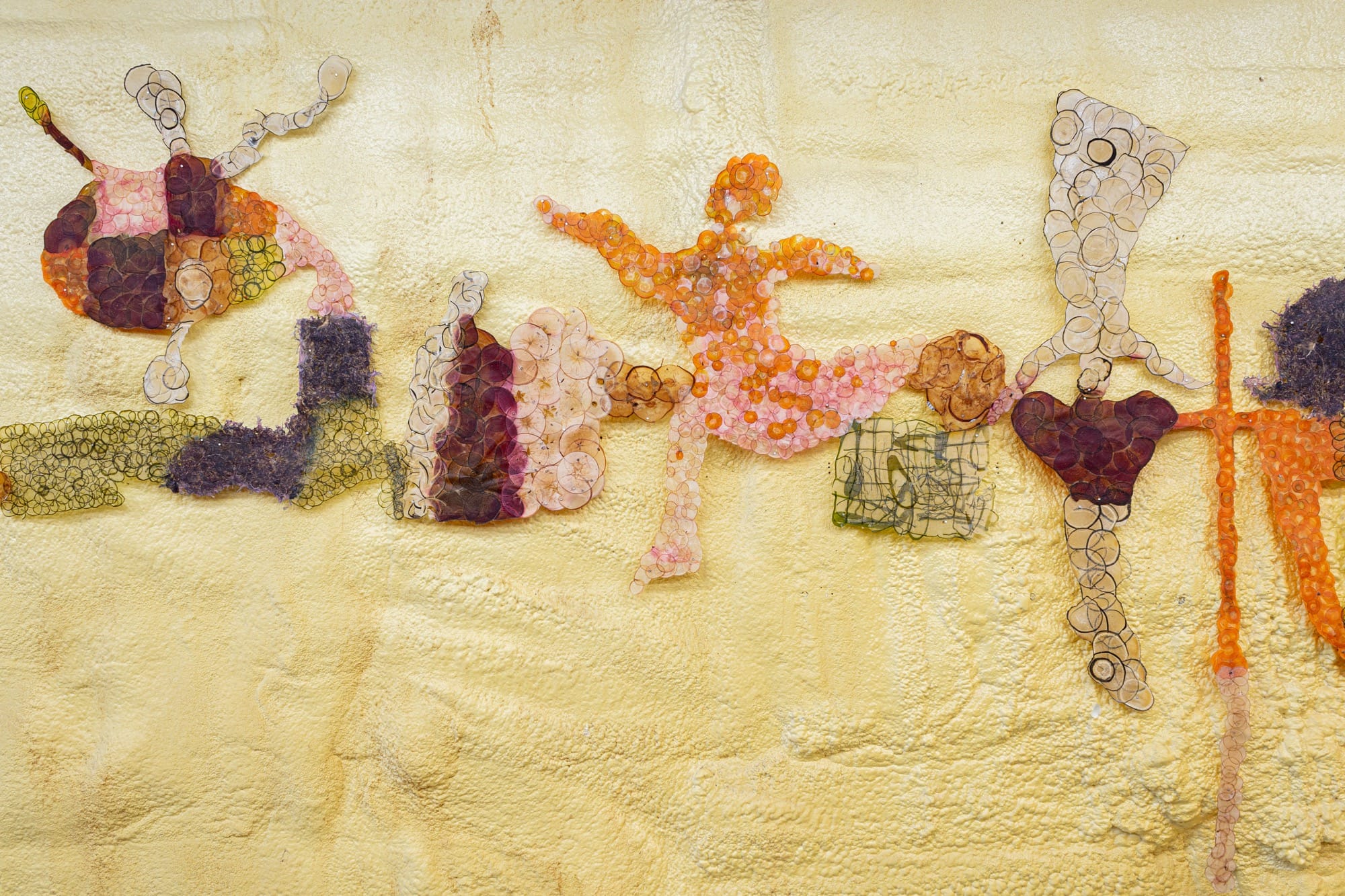 Dried Slices of Produce Enliven a Cellar-Like Space in Ruby Jackson’s ‘Picker’
